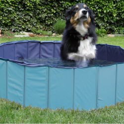 Piscina pentru caine 120 x 30 cm Piscina pentru caine 120 x 30 cm